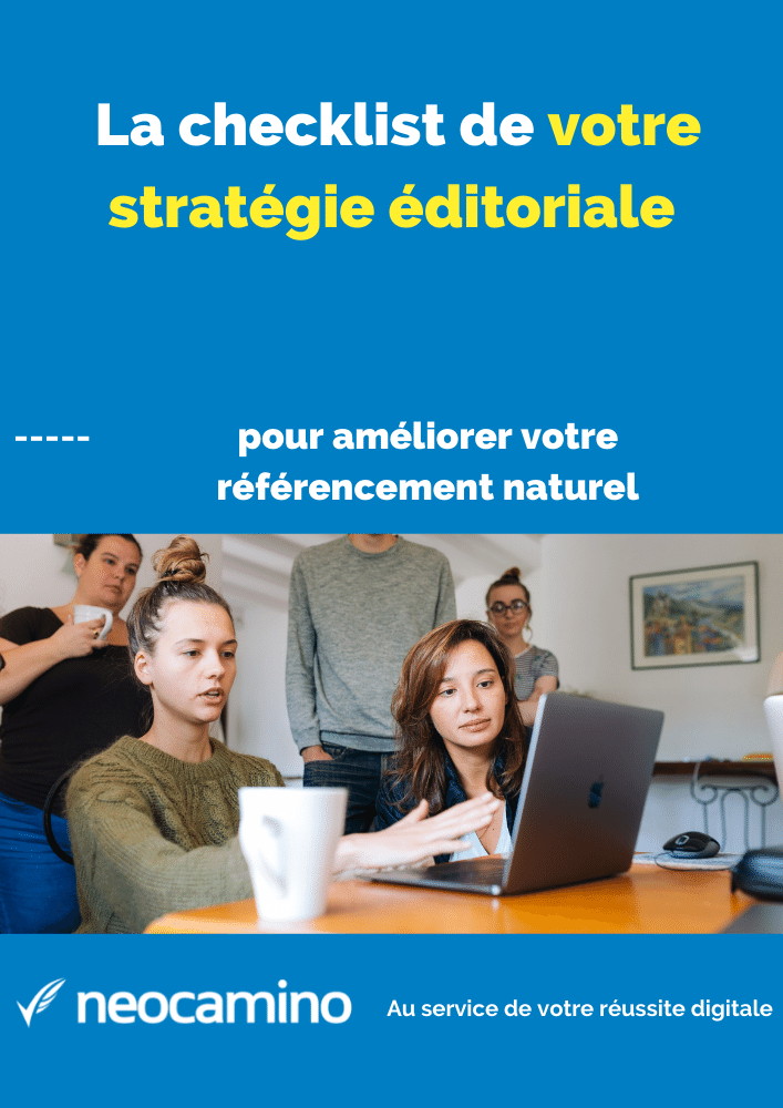 Agence google partner